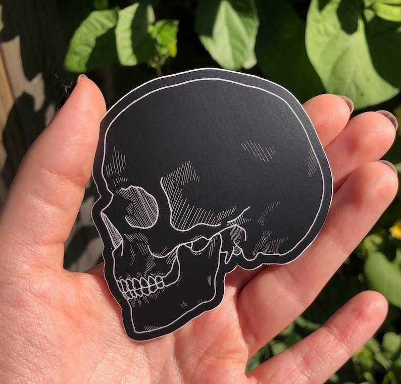 May include: A black and white sticker of a skull in profile. The skull is drawn in a detailed, anatomical style.