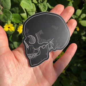 May include: A black and white sticker of a skull in profile. The skull is outlined in white and has a detailed drawing of the bone structure.