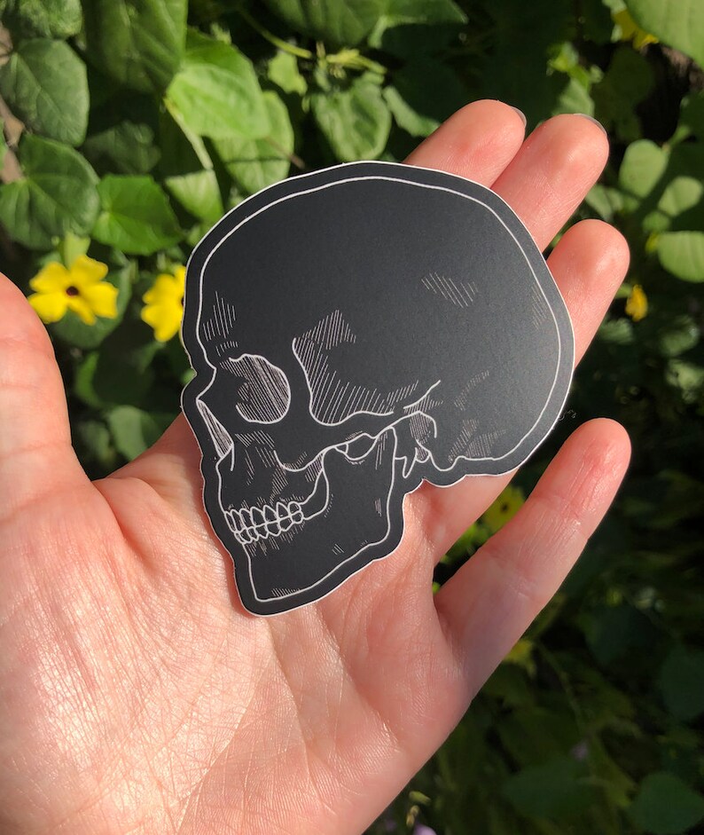 May include: A black and white sticker of a skull in profile. The skull is outlined in white and has a detailed drawing of the bone structure.