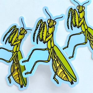 PRAYING MANTIS STICKER - Wasserdichte Käfer-Aufkleber, Insekt-Kunst-Vinyl-Aufkleber für Natur- und Pflanzenliebhaber, süße Wissenschaftsaufkleber