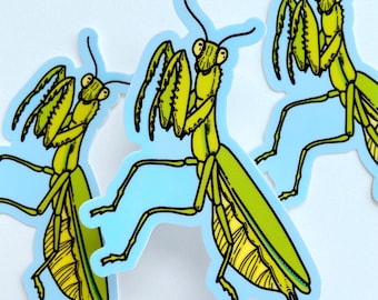 PRAYING MANTIS STICKER - Waterproof Bug Stickers, Insect Art Vinyl Sticker for Nature & Plant Lovers, Cute Science Stickers