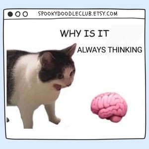 May include: A white and black cat with a surprised expression looks at a pink brain with the text "WHY IS IT ALWAYS THINKING" above the cat and brain.