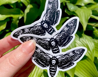 Death’s head hawkmoth : r/moths
