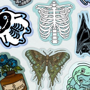 May include: A set of nine stickers featuring various designs, including a skeleton, a butterfly, a frog, a bat, and a ghost. The stickers are printed on a white background with a blue border.