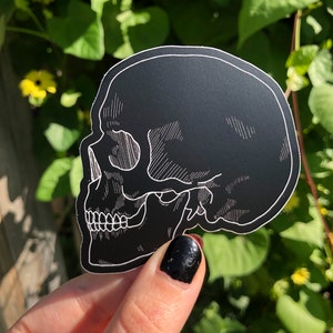 May include: Black and white skull sticker with a detailed line drawing design. The sticker is on a black background and is being held by a hand.