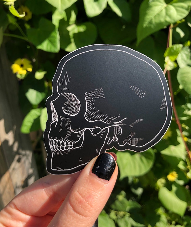 May include: Black and white skull sticker with a detailed line drawing design. The sticker is on a black background and is being held by a hand.
