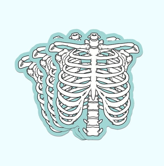 RIB CAGE STICKER - Waterproof Anatomical Sticker, Skeleton Medical Illustration Art, Spooky Stationery, Science Biology Nursing Sticker