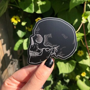 May include: A black and white skull sticker with a detailed outline. The sticker is held in a hand with black nail polish.
