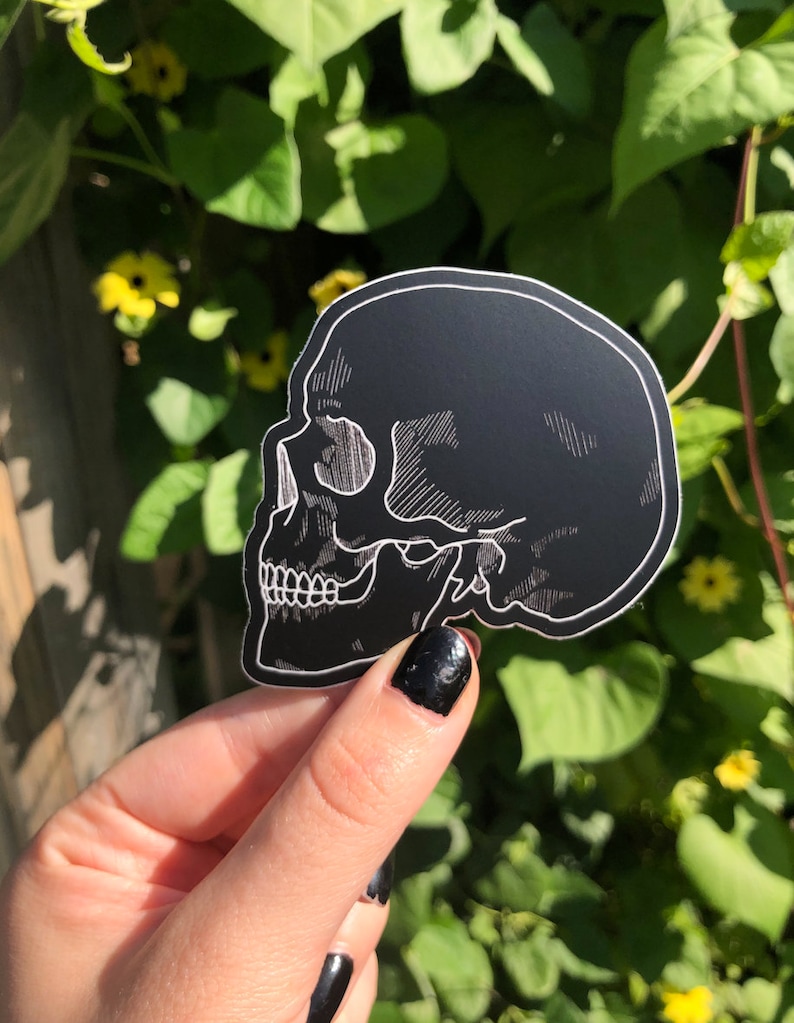 May include: A black and white skull sticker with a detailed outline. The sticker is held in a hand with black nail polish.