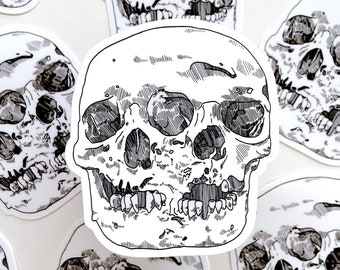 CONJOINED SKULL STICKER - Vinyl Anatomical Bone Sticker, Human Skull Sticker Macabre Medical Illustration, Skull Sticker for Water Bottle