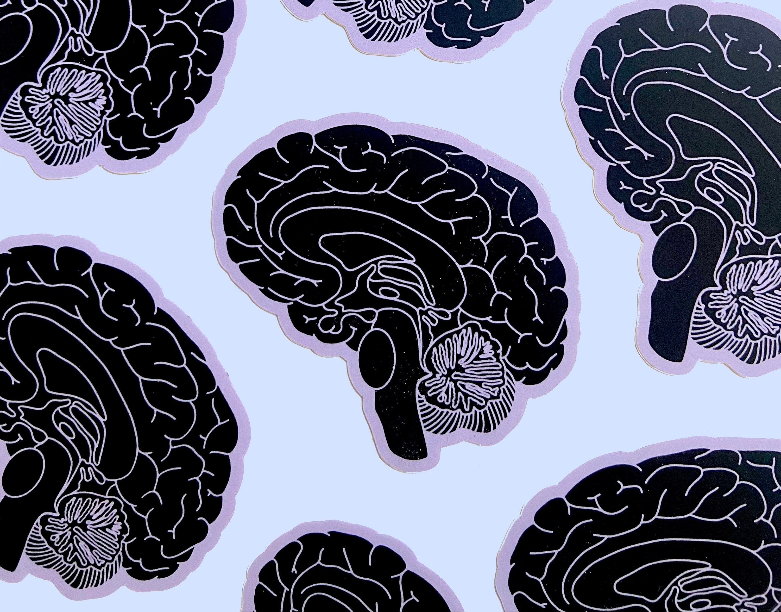 Neurology Sticker Brain Anatomy Sticker – Waterproof Vinyl Decal, Neurology Gift - Etsy