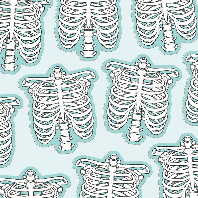 May include: A repeating pattern of white ribcages on a light blue background. The ribcages are outlined in black and have a slightly distressed look.