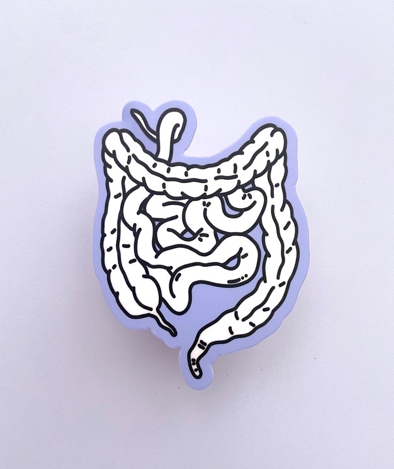 INTESTINES STICKER - Waterproof Anatomical Decal, Biology Science ...