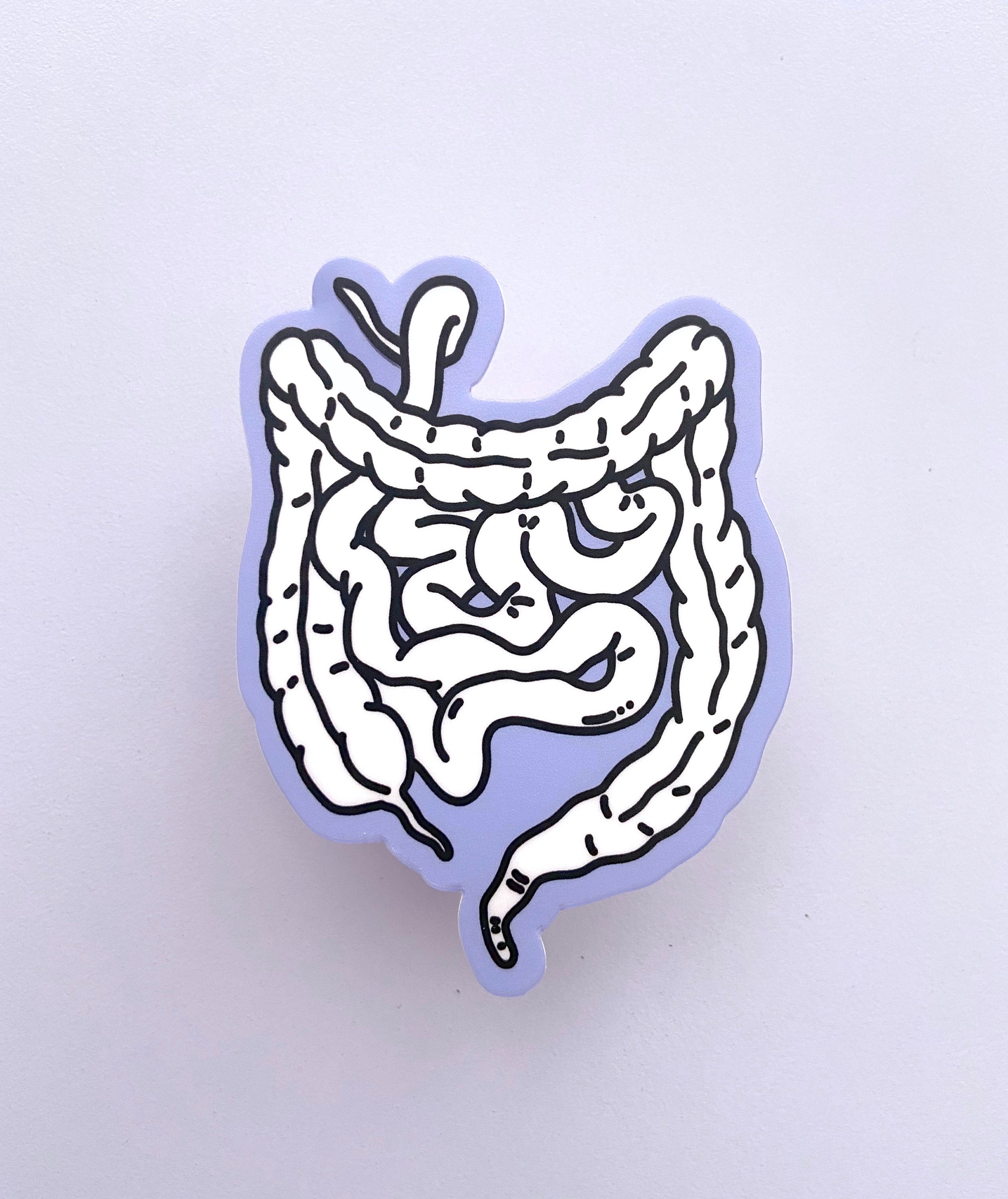 Intestine Sticker INTESTINES STICKER - Waterproof Anatomical Decal, Biology Science ...