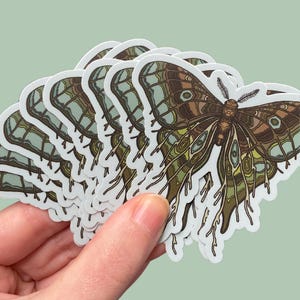 Może przedstawiać: Stos naklejek z szczeg&oacute;łową ilustracją zielono-brązowego motyla z misternymi wzorami i żyłkami. Motyl ma dużą rozpiętość skrzydeł i jest przedstawiony z rozłożonymi skrzydłami.