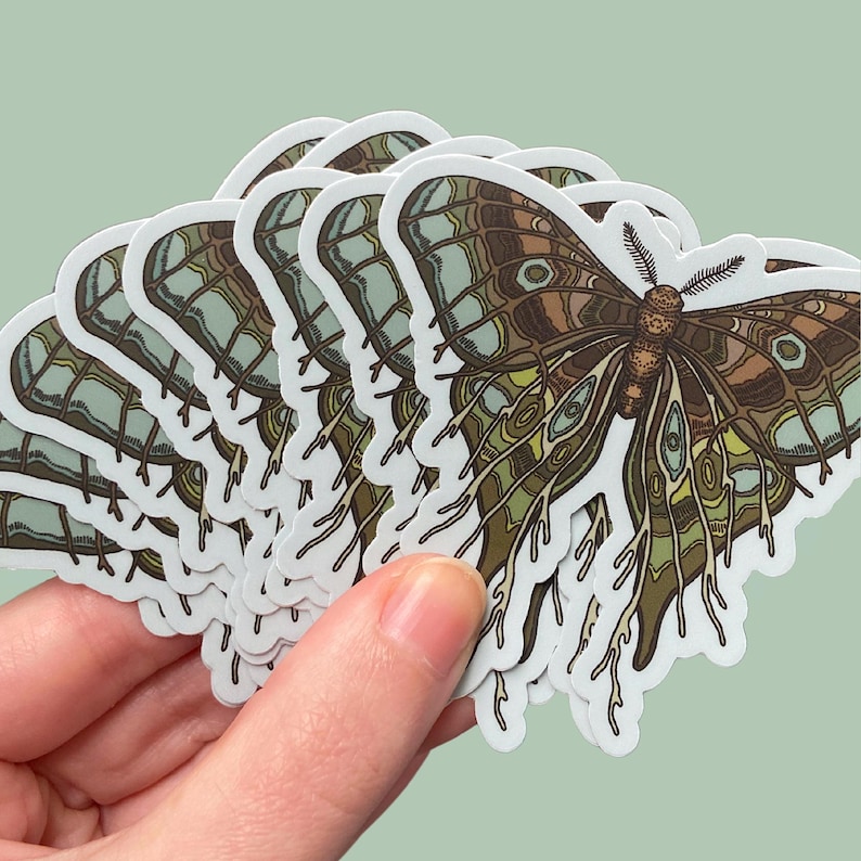 Może przedstawiać: Stos naklejek z szczeg&oacute;łową ilustracją zielono-brązowego motyla z misternymi wzorami i żyłkami. Motyl ma dużą rozpiętość skrzydeł i jest przedstawiony z rozłożonymi skrzydłami.