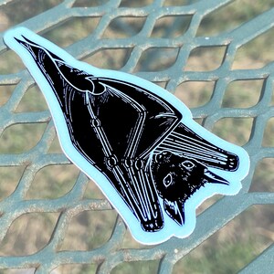 May include: Black and white line art sticker of a bat hanging upside down. The bat is in a detailed, anatomical style.