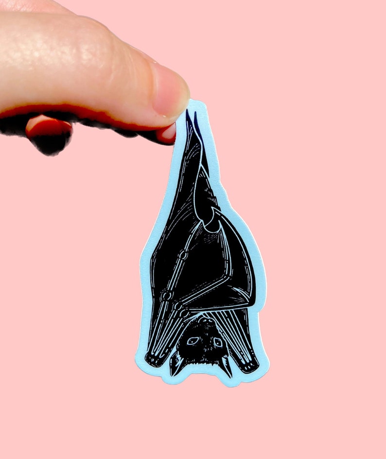 May include: A black and white illustration of a bat hanging upside down. The bat is drawn in a detailed, realistic style. The sticker is printed on a light blue background.