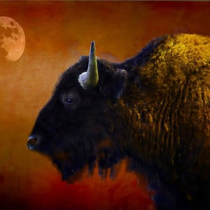 Bison Print Buffalo Art American Bison Art Bison Decor Bison Wall Decor Bison Prints Bison Picture American Buffalo Art Bison Wall Art