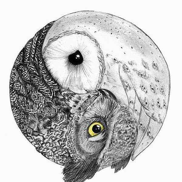 Owl Yin and Yang Art Print Taoist Art Chinese Art Black and White Wall Art Home Decor Barn Owl Night Owl Yin-Yang  Day and Night Owl Owl Gif