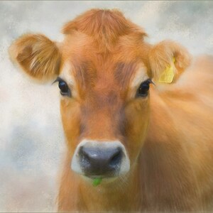 Cow artwork farmhouse art prints farm wall art jersey cow art print cow print farm animal art cow wall art dairy cow country art cow breeds