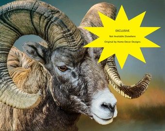 Wildlife Art Realistic Animals Rocky Mountain Sheep Bighorn Ram Animal Print Western Art Wildlife Paintings Bighorn Sheep Art Big Game Art