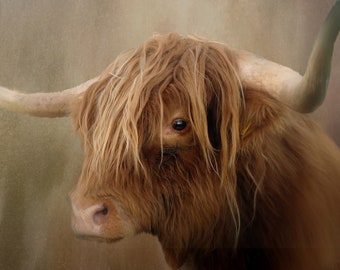 Highland Kuh Highland Kuh Print Highland Kuh Kunst Highland Rinder Kuh Malerei Kuh Wand Kunst Kuh Kunst Arbeit Kuh Gemälde schottischen Kuh haarige Kuh
