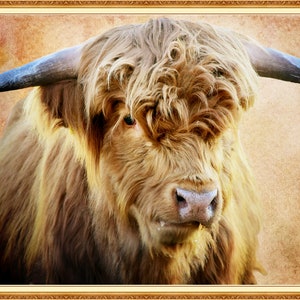 Highland Cow Highland Cows Highland Cow Art Highland cow print Highlander Highland Highland Cow Gifts Highland Cattle Art Highland Cattle image 2