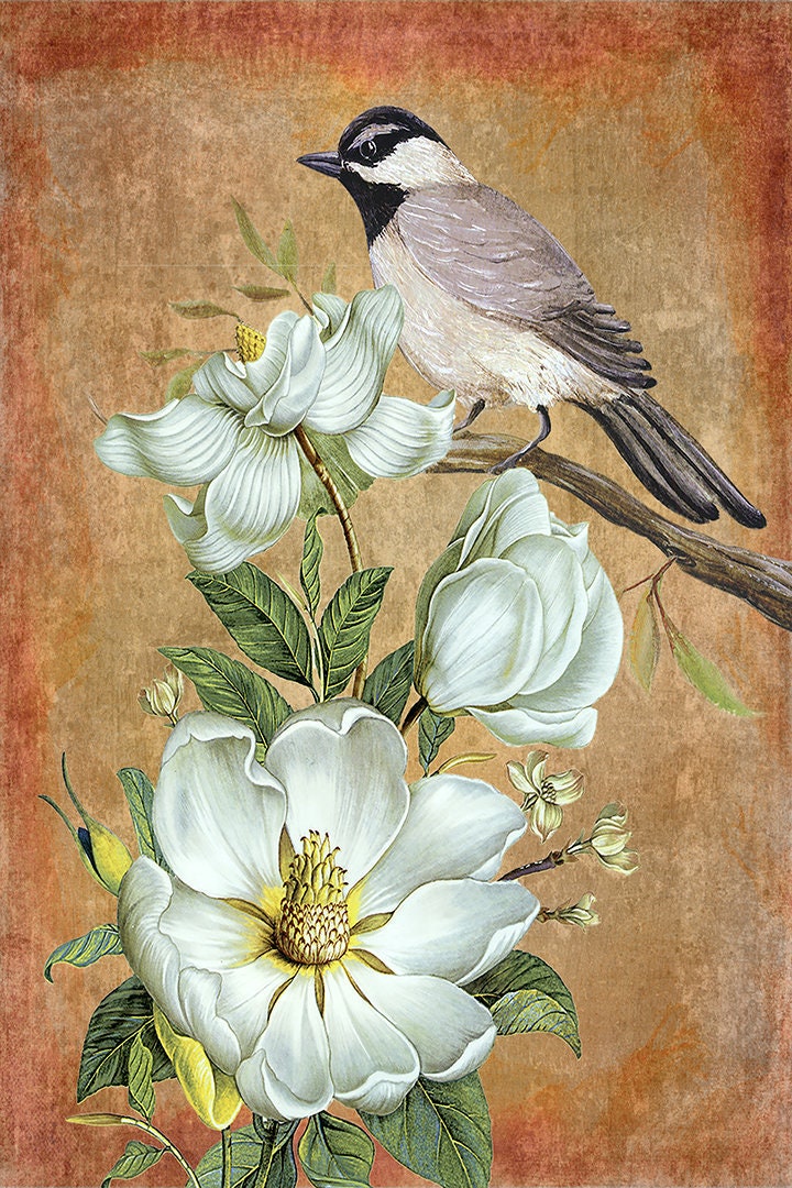 Esszimmer Wand Kunst Chickadee Vogel Magnolia Blumen Magnolia Wand Kunst Magnolia Wand Dekor botanische Drucke weiß Magnolia-Vogel-Grafik-Druck