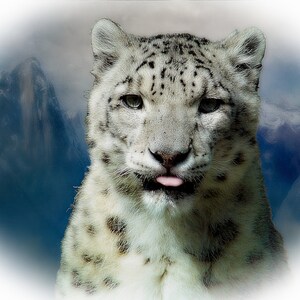 Snow Leopard Watercolor Digital Art Print Mountain Animal Print Cabin Decor Lodge Decor Snow Leopard Print Snow Leopard Art Mountain Decor