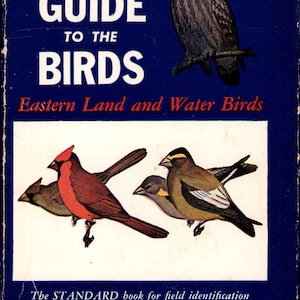 以下が含まれることがあります： ロジャー・トリー・ピーターソン著の「A Field Guide to the Birds」というタイトルのヴィンテージフィールドガイド。表紙は濃い青色で、鳥とフクロウのイラストが描かれています。この本には、1000点のイラストと500点のフルカラーイラストが掲載されており、ナショナル・オーデュボン協会が後援しています。