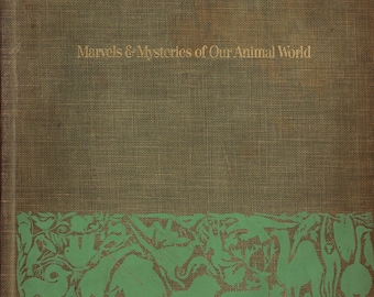 現在、この商品の在庫はありません - Etsy