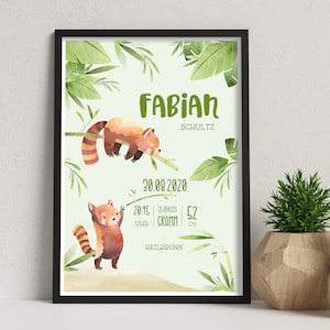 Geburtsanzeige ROTER PANDA, DIN A4, personalisiert