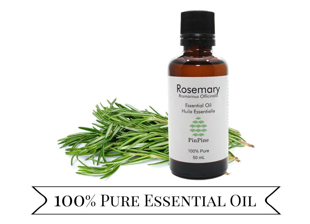 Rosemary Essential Oil 100% Pure Premium Quality for Aromatherapy, in  Diffusers, DIY Air Fresheners, Perfumes & Beauty Products 