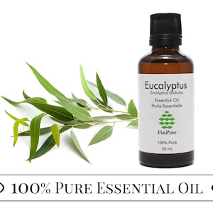 May include: A brown glass bottle with a black cap containing Eucalyptus Globulus Essential Oil. The bottle is labelled "Eucalyptus", "Eucalyptus Globulus", "Essential Oil", "Huile Essentielle", "PinPine", "100% Pure", and "50 mL". A sprig of eucalyptus leaves is shown to the left of the bottle.