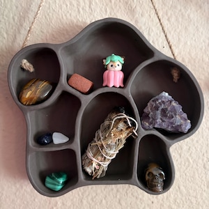 May include: A dark brown, organic-shaped wall shelf with multiple compartments holding various items: a tiger's eye stone, a small red rectangular stone, a pink and green figurine, a bundle of dried herbs, an amethyst cluster, and a small skull.