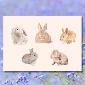 Kaninchen-Gruß-Karte | Aquarell Tier Briefpapier | Familie, Freunde, für Sie, für Ihn, Allgemein | Niedlich, elegant | Schneller Versand