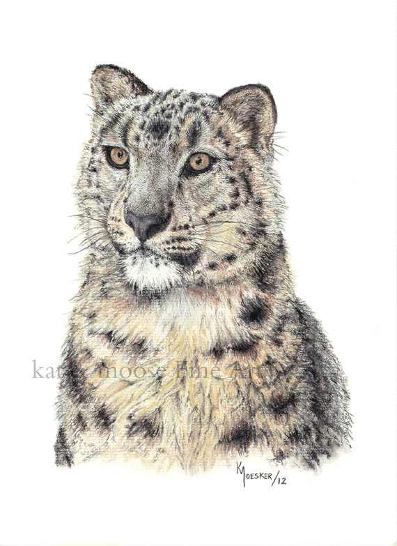 Snow Leopard Imprimer Dessin Pastel 8 X 10