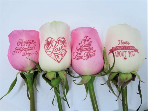 Happy Valentine's Day - 3 Pink & 3 White Roses with Pink Ink