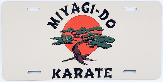 Karate Kid Cobra Kai 