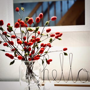 May include: A clear glass jar containing thin brown branches with small red felt berries and tiny green felt leaves. Next to the jar is a black wire sign with the word hello in cursive script. The arrangement is set against a white wall.