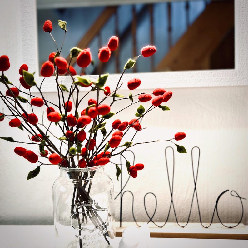 May include: A clear glass jar containing thin brown branches with small red felt berries and tiny green felt leaves. Next to the jar is a black wire sign with the word hello in cursive script. The arrangement is set against a white wall.