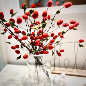 zwei Hagebuttenäste mit Filzfrüchten 155