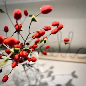 May include: A decorative branch featuring numerous small, vibrant red berries and tiny, textured green leaves. The branch is arranged with thin, dark brown stems that extend outward, creating a natural, organic appearance with bright color contrast.