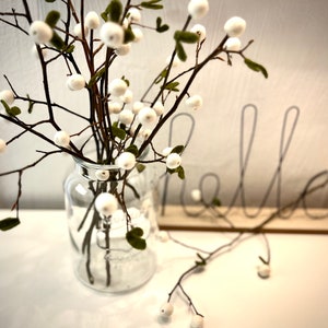 zwei Mistelbeeren-Äste mit Filzfrüchten 015