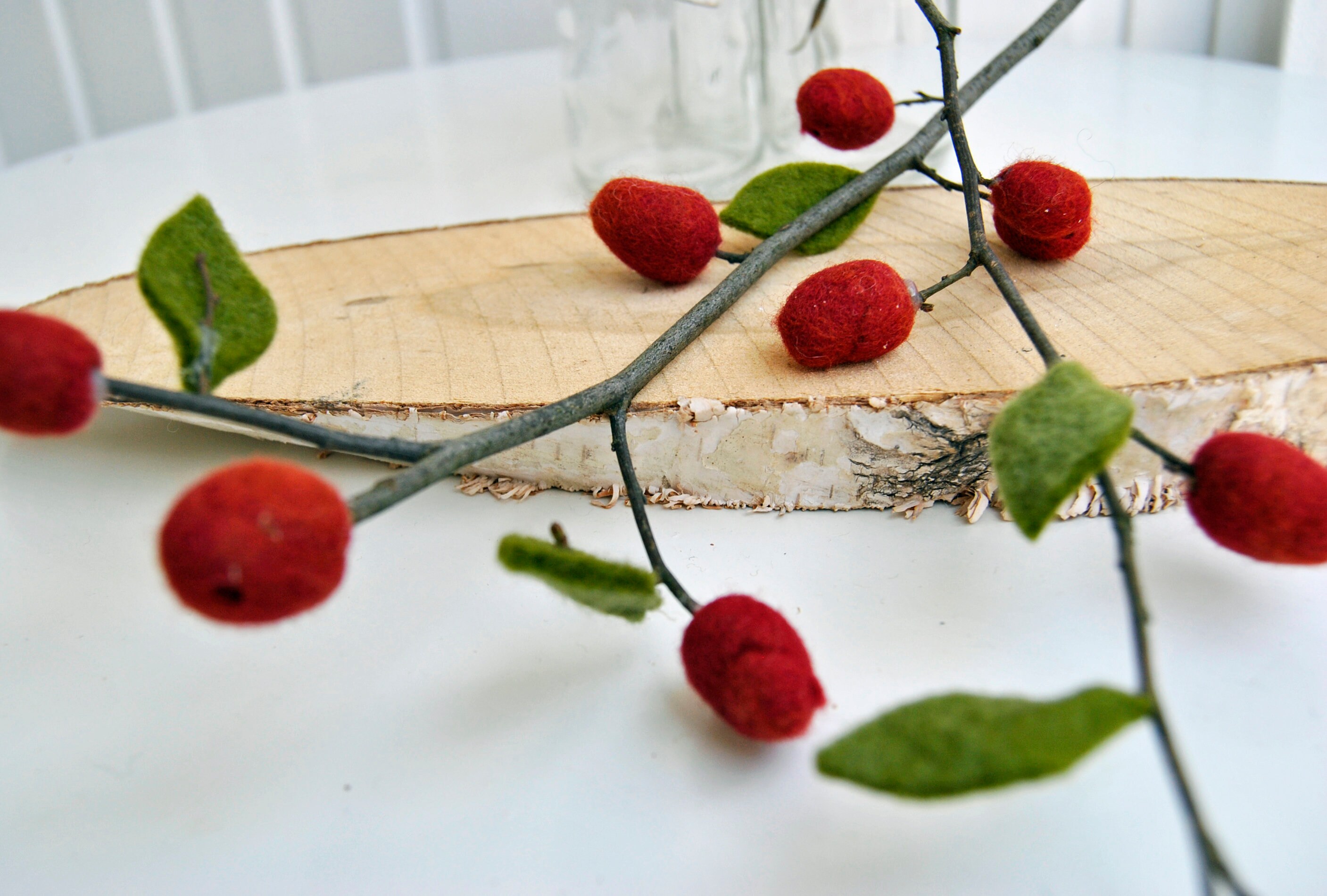 Branches de Hagebutte à Fruits Feutre
