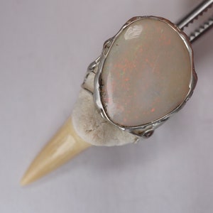 Shark tooth Opal pendant