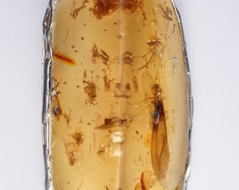 Copal with insect Pendant