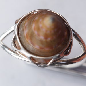 May include: A silver ring with a brown and white seashell set in the center.