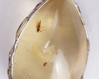 Copal with insect pendant
